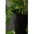 Ghiveci flori cu sistem autoirigare, 37.5x37.5x66cm, cauciuc reciclat, efect ciment, negru, Aria
