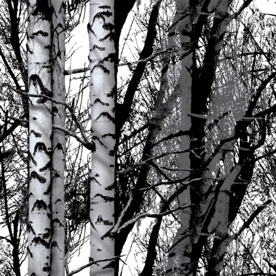 Autocolant d-c-fix Trendy Wood, model copaci padure, alb/negru, 45cmx1.5m