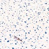 Autocolant mobila, mozaic albstru/roz, 67.5cmx2m, d-c-fix, Terrazzo