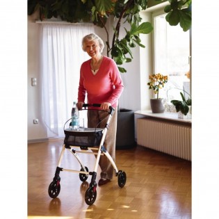 Cadru ajutator pliabil pentru mers in interior cu roti (rolator), Ridder, premium, cu cos si tava, A0300301, Pit