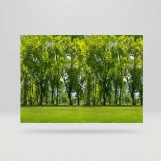Folie geam, fara adeziv, tip bordura decorativa, model padure, verde, 67.5cmx1.5m, Vénilia, Forest
