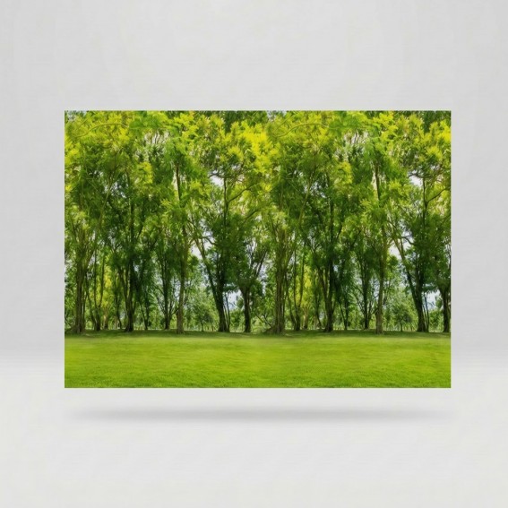Folie geam, fara adeziv, tip bordura decorativa, model padure, verde, 67.5cmx1.5m, Vénilia, Forest