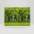 Folie geam, fara adeziv, tip bordura decorativa, model padure, verde, 67.5cmx1.5m, Vénilia, Forest