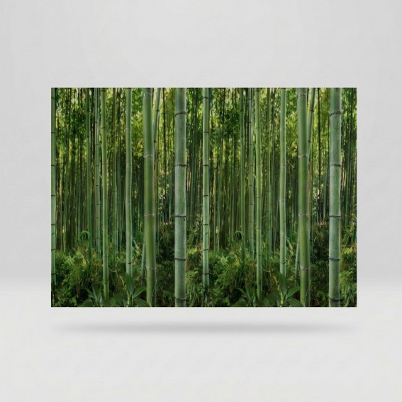 Folie geam, fara adeziv, tip bordura decorativa, model padure bambus, verde, 67.5cmx1.5m, Vénilia, Bamboo