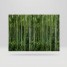 Folie geam, fara adeziv, tip bordura decorativa, model padure bambus, verde, 67.5cmx1.5m, Vénilia, Bamboo