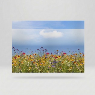 Folie geam, fara adeziv, tip bordura decorativa, model floral, multicolor, 67.5cmx1.5m, Vénilia, Spring Flowers