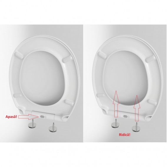 Capac WC cu inchidere lenta si sistem easy clean, alb, duroplast, Ronda