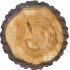 Covoras baie Log Friedola, model trunchi copac, 3D, maro, antiderapant, spuma PVC, diametru 67cm, Cod 77725.9