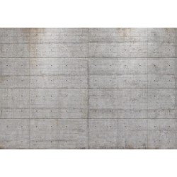 Fototapet zid de beton, Komar, gri, adeziv inclus, 368x254cm