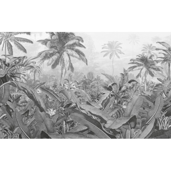 Fototapet peisaj, model padure amazoniana, print digital, nuante de gri, adeziv inclus, 400x250cm, Komar, Amazonia