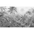 Fototapet peisaj, model padure amazoniana, print digital, nuante de gri, adeziv inclus, 400x250cm, Komar, Amazonia