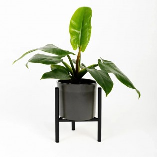 Suport ghiveci flori Dijon M, negru, metal, 23x25 cm