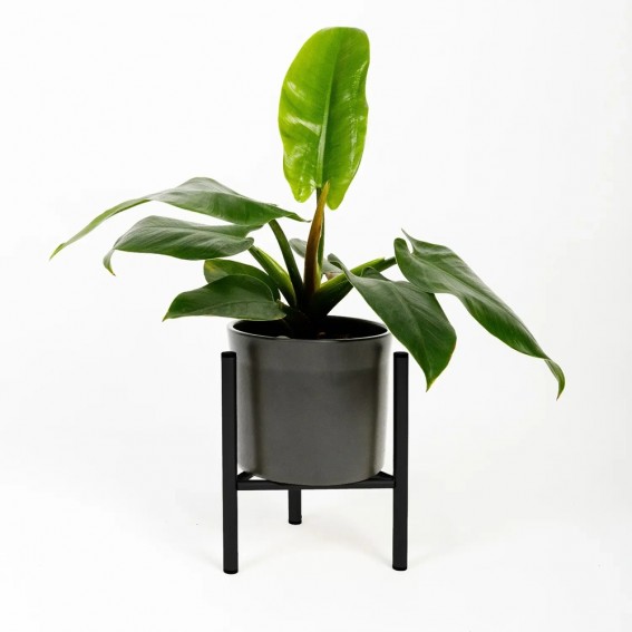 Suport ghiveci flori Dijon M, negru, metal, 23x25 cm, cod 111019