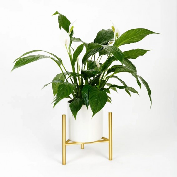Suport ghiveci flori Dijon L, auriu, metal, 27x25 cm, cod 111026