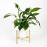 Suport ghiveci flori Dijon L, auriu, metal, 27x25 cm, cod 111026